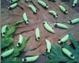 Foto langkah ke 5 dari resep Caterpillars cookies / kue ulat.