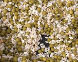 Une image de l'étape 2 de Risotto aux petits pois.