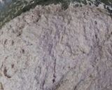 Foto del paso 2 de la receta: Pan integral, sin AMASAR, sin ENSUCIAR la mesada😂🖒💪