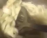 A picture of step 2 of Homemade Pasta.