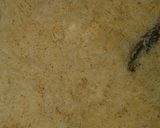 A picture of step 2 of Mocha Kunafa (Othmaliyeh / Osmalieh).