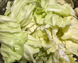 炒高麗菜 / 簡單家常菜的食譜步驟1照片