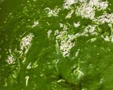 બીરયાની(Biryani Recipe in Gujarati) રેસીપી સ્ટેપ8ફોટો