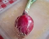 Foto del passaggio 4 della ricetta ​🥗 Insalata croccante al profumo di Tropea 🧅