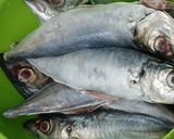 Foto langkah ke 1 dari resep Ikan Kembung Goreng.