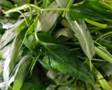 Foto langkah ke 1 dari resep Kangkung Goreng.
