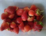 Foto langkah ke 1 dari resep Strawberry Jam.