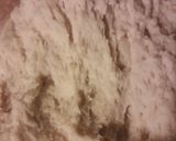 Foto del paso 5 de la receta: Pan artesanal 60% hidratación