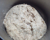 Foto del paso 3 de la receta: Pan 3 harinas