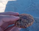Foto del paso 5 de la receta: Galletitas playeras de avena, sin azúcar 🍪-vegano- :)