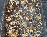 A picture of step 10 of No Bake Coffee cum Dark Chocolate Brownie Bites.