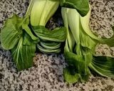 Une image de l'étape 1 de Lasagnes 🧀aux légumes 🌶🥕🥬🥦d’automne 🍁🍂.
