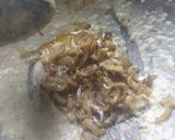 A picture of step 7 of Pasta(italian food).