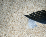 A picture of step 1 of Chebakia.