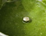 A picture of step 5 of 2 in 1 Dosa (Healthy Palak Beetroot Dosa).