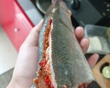 Foto langkah ke 3 dari resep Bandeng bakar Lombok khas Bugis (bale Bolu tunu)/ Bandeng rica.