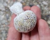 Foto del paso 5 de la receta: 🍇 Mermelada de uvas 🍇