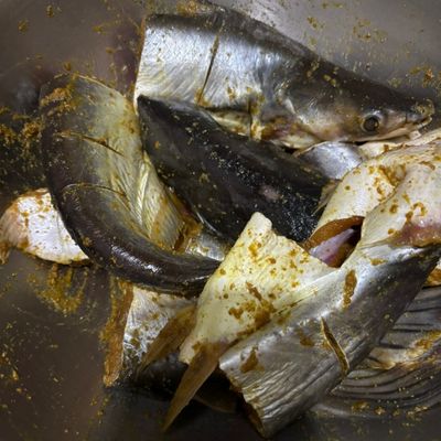 Langkah 4