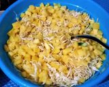 Foto langkah ke 1 dari resep Rujak cuka /asinan.