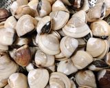 Hình bước làm 1 của món Canh Nghêu Rong Biển