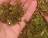 Foto del paso 3 de la receta: Revuelto de verdes