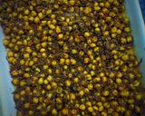 A picture of step 12 of Potato Kibbeh in a Tray.