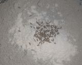 A picture of step 3 of Bajra Roti.
