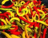 Ecetes kosszarvú paprika savanyúság recept fázis 1 fotója