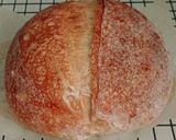 Foto langkah ke 21 dari resep Basic Sourdough Bread 72% (Open Bake Method - Oven Tangkring).