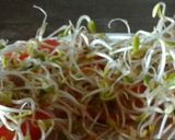 Foto del paso 5 de la receta: Tacos Vegetarianos a la Brizu