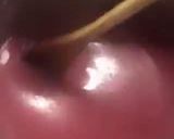 Foto del passaggio 5 della ricetta Crema di liquore alle fragole