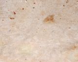 A picture of step 5 of Aloo ka parantha.