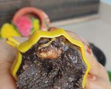 गणेश चतुर्थी स्पेशल नारियल-चॉकलेट फ्यूजन मोदक रेसिपी चरण 5 फोटो