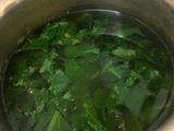 Palak roti