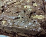 Foto del paso 5 de la receta: Brownie