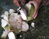 Hình bước làm 3 của món Chuột đồng khìa nước dừa
