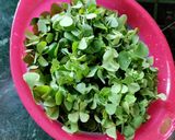 A picture of step 1 of Sunsunia Saag.