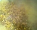 A picture of step 9 of Misal Pav.