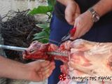 Αρνί στη σούβλα