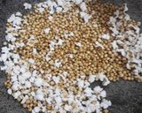 மினி சோள பாப்கார்ன் (Mini chola popcorn recipe in tamil) ரெசிபி ஸ்டேப் 2 புகைப்படம்
