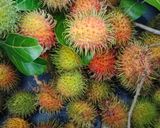 Foto langkah ke 1 dari resep Asinan Rambutan sambal Bangkok.