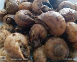 Foto del paso 5 de la receta: Caracoles secos con especias y alioli 🤤🤤🤤