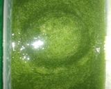 Foto langkah ke 3 dari resep Cincau Hijau Homemade.