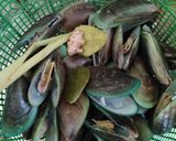 Foto langkah ke 1 dari resep Kerang Hijau Saus Tiram.