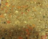 Foto del paso 4 de la receta: Hamburguesas de lentejas