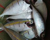 Foto langkah ke 2 dari resep Ikan Rica Bekuah.