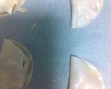 Foto del paso 1 de la receta: Empanadillas de pavo