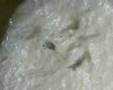 A picture of step 4 of Black Pepper chicken.