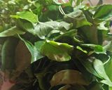 Hình bước làm 1 của món Gà Xào Chua
