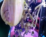 Foto langkah ke 2 dari resep Pepes Ikan Belanak Sambal Pencit (Mangga Muda).